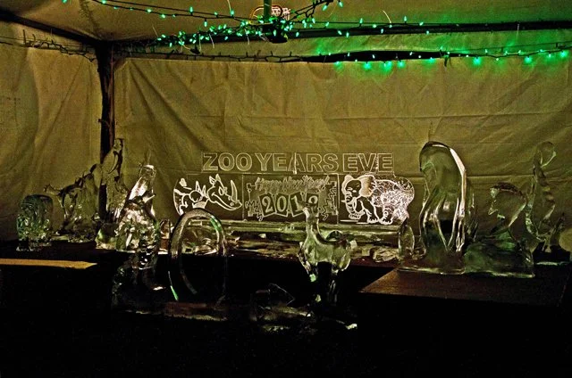 Zoolights-058.jpg