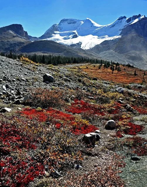 Icefields-009.jpg