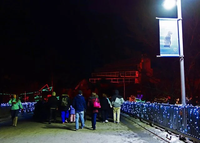 2013 Calgary Zoolights-040