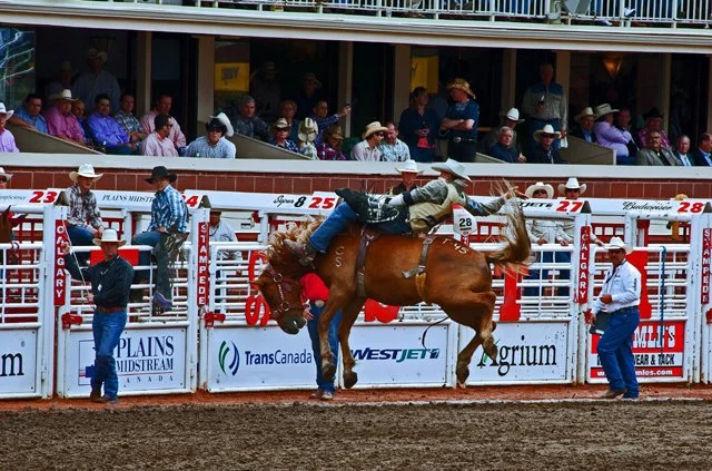 Rodeo-099.jpg