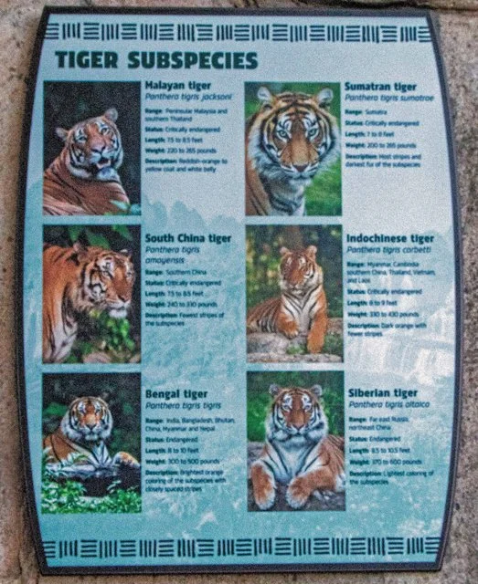 FW Zoo-057.jpg