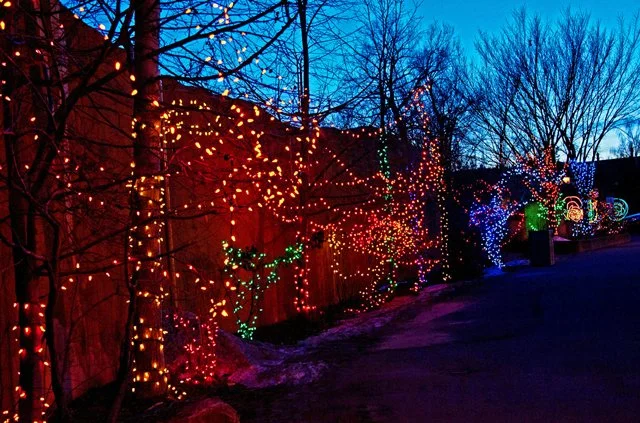 2012 Calgary Zoolights-070