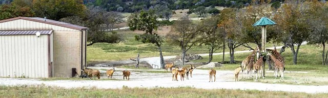 Fossil Rim-211.jpg