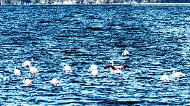 Day 07-078.jpg