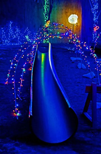 Zoolights-043.jpg
