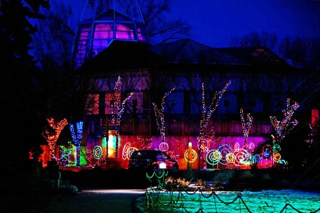 Zoolights-142.jpg