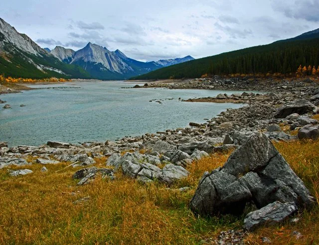 2011 Medicine Lk-020