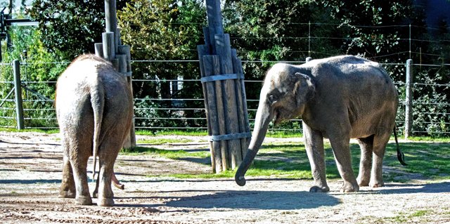 2024 FW Zoo-020