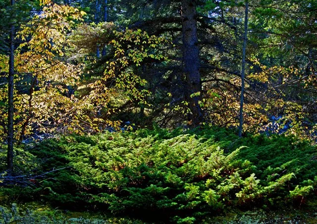 2012 Canyon Walk-410