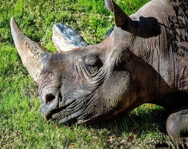 FW Zoo-151.jpg