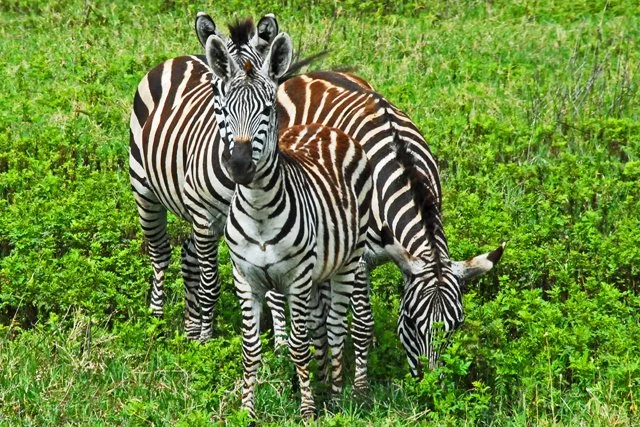 Day 06-143.jpg
