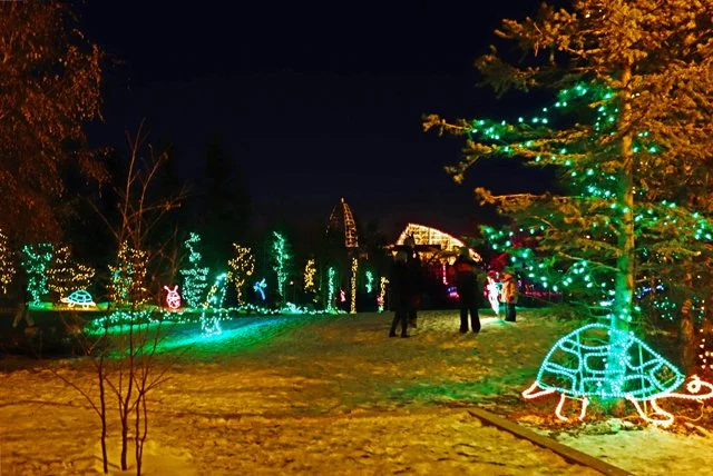 Zoolights-034.jpg