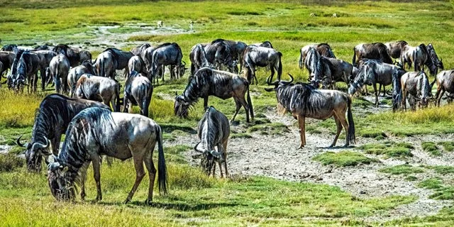 Day 07-114.jpg