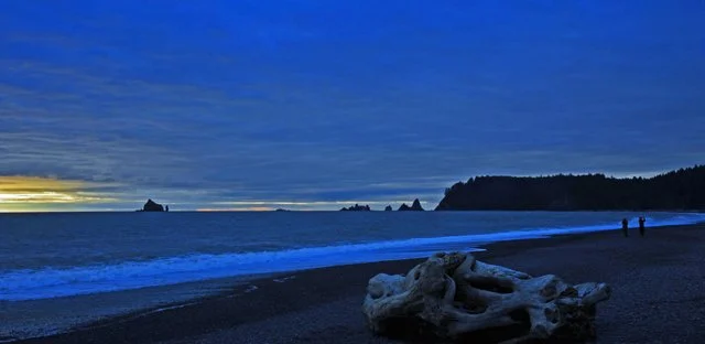Rialto Beach-100