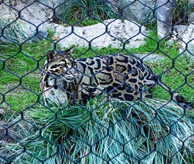 FW Zoo-046.jpg