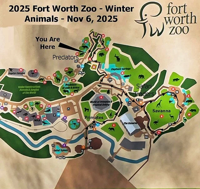 FW Zoo-146.jpg