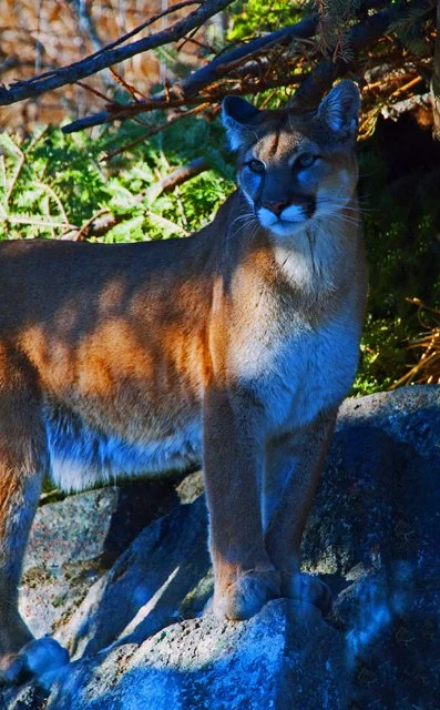 2012 Calgary Winter-190