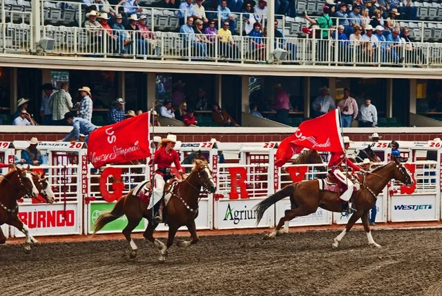 Rodeo-058.jpg