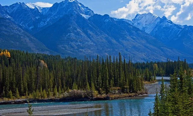 2012 Icefield Pkwy-030