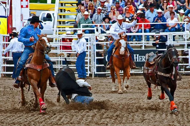 Rodeo-138.jpg