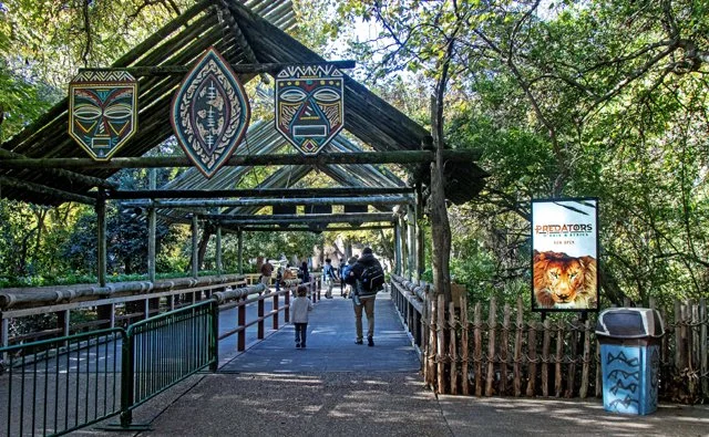 FW Zoo-006.jpg