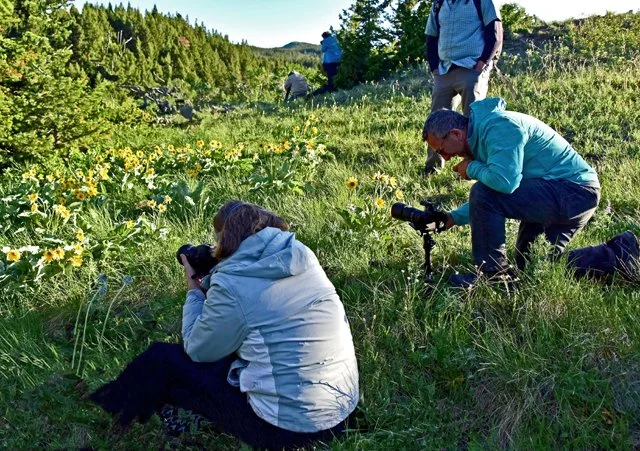 Maryanne Marshall-016