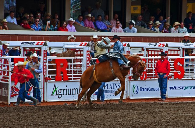Rodeo-098.jpg