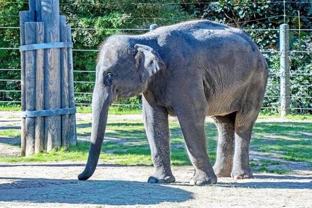FW Zoo-021.jpg