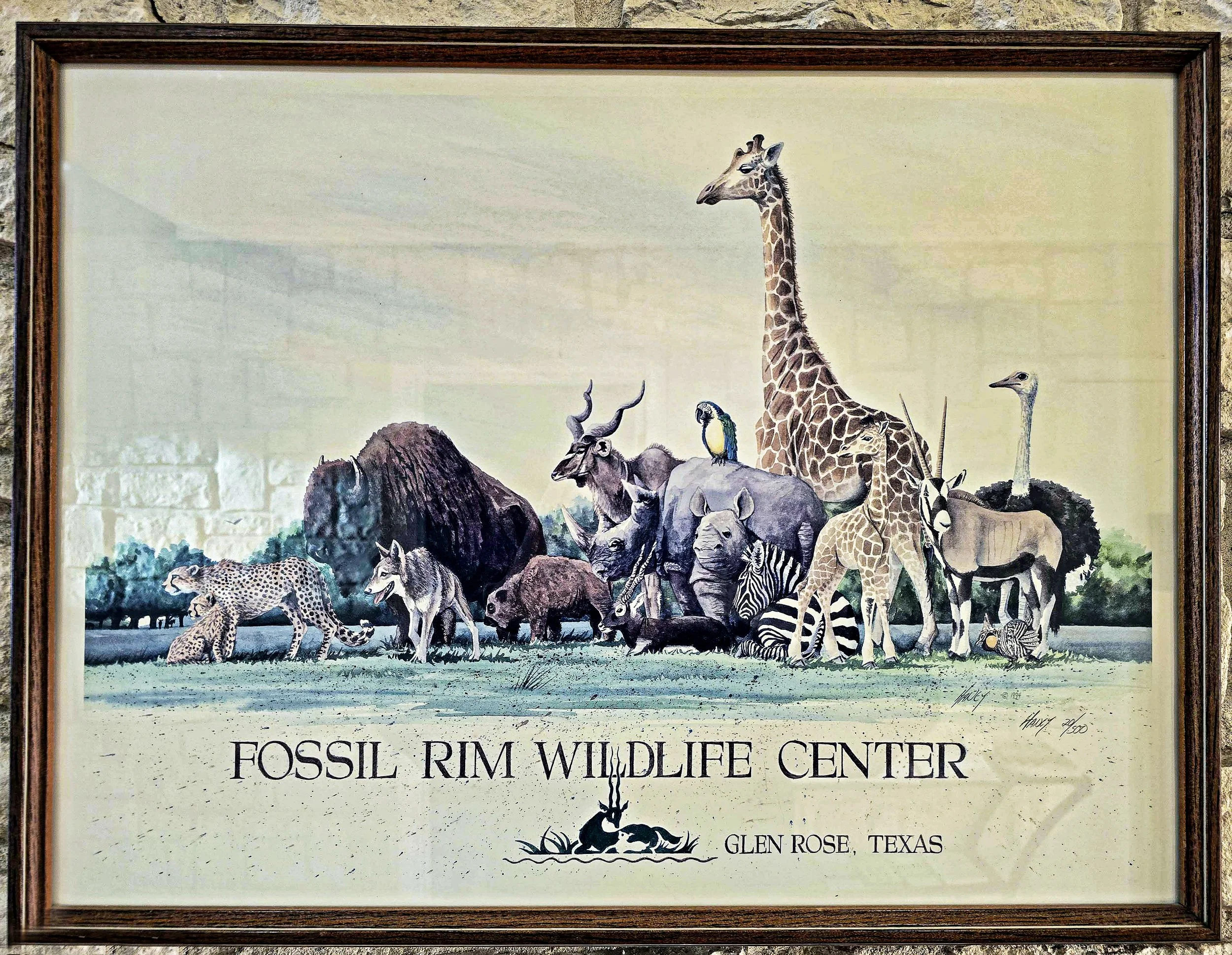 Fossil Rim-019.jpg