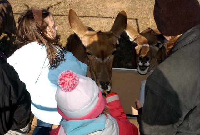 2003 Fossil Rim-112.JPG