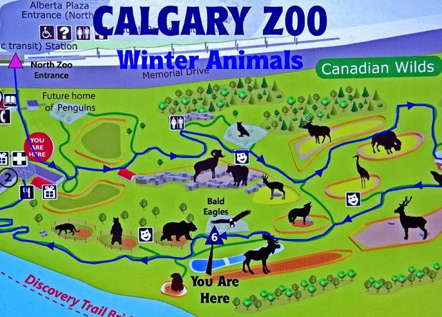 2012 Calgary Winter-150