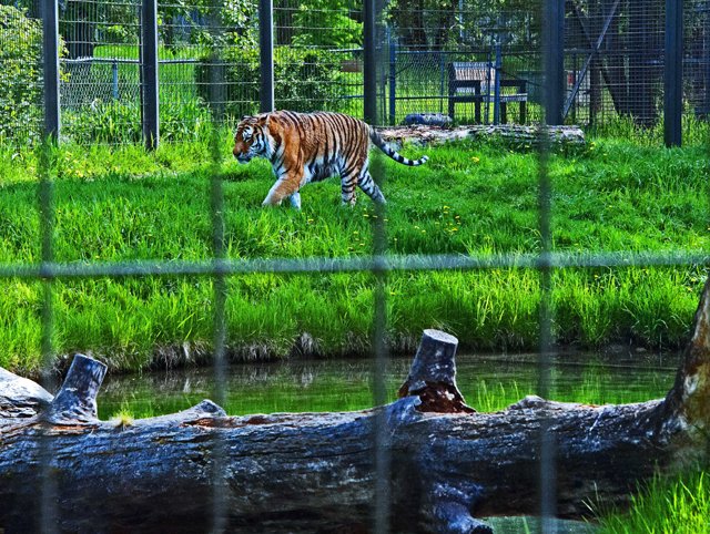 2012 Calgary Spring-010