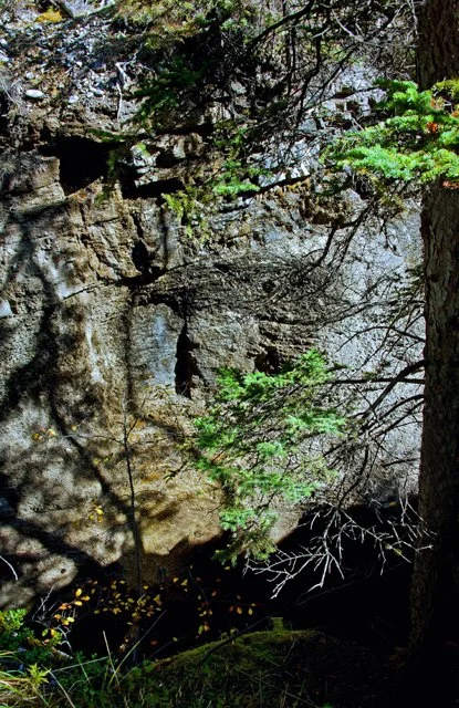 2012 Canyon Walk-180