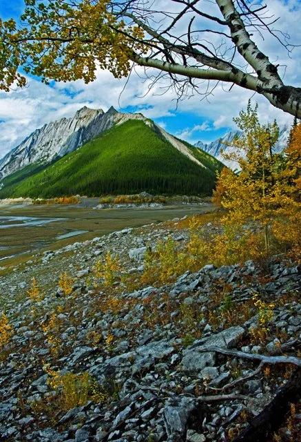 2011 Medicine Lk-100