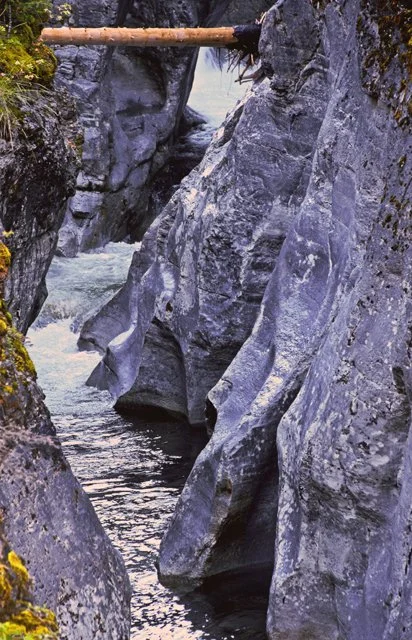 2012 Canyon Walk-060