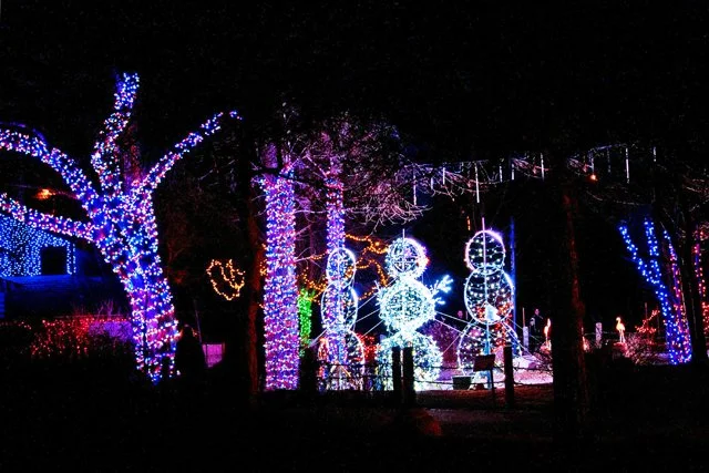 Zoolights-153.jpg