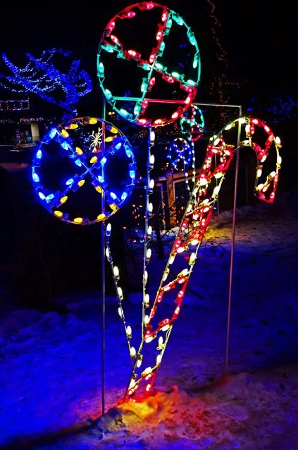 Zoolights-125.jpg