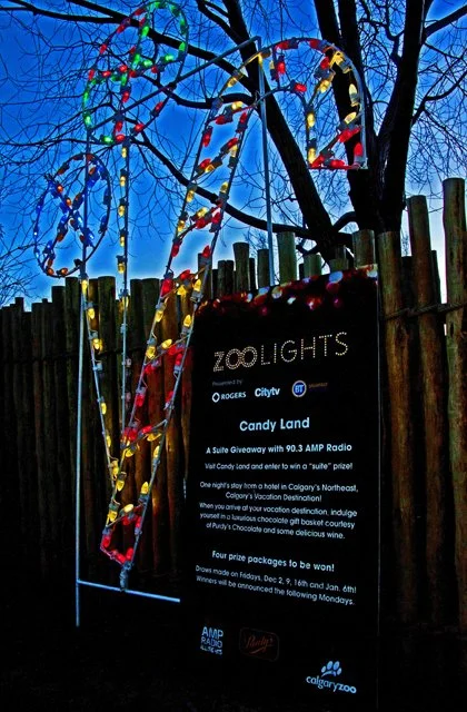 Zoolights-072.jpg