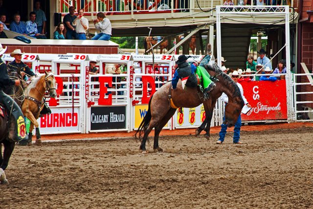 Rodeo-096.jpg
