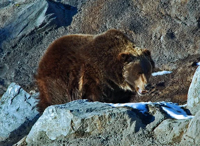 2012 Calgary Winter-180