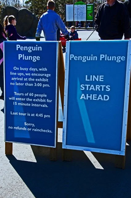 Penguins-009.jpg