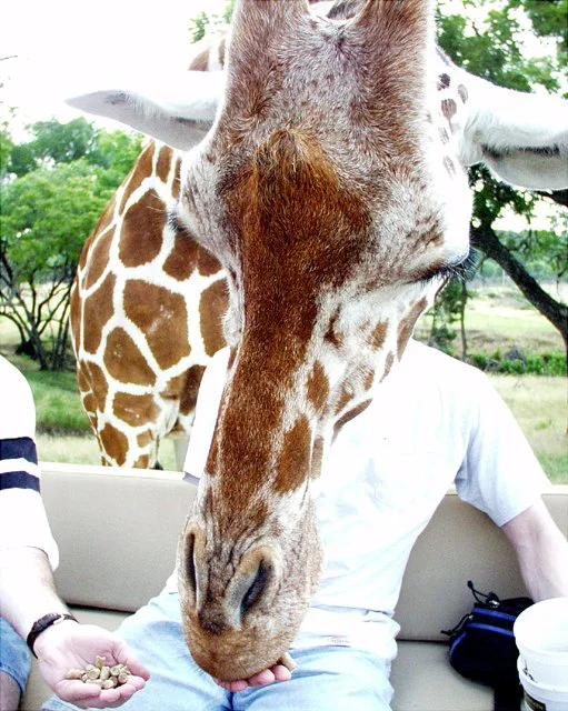 2001 Fossil Rim-058.jpg