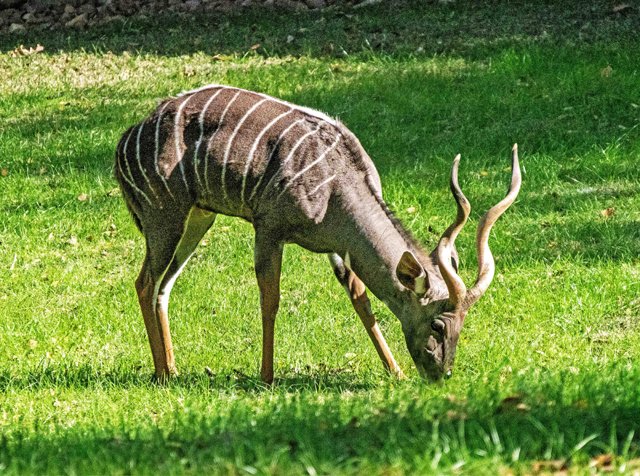 FW Zoo-136.jpg