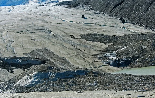 Icefield-256.jpg