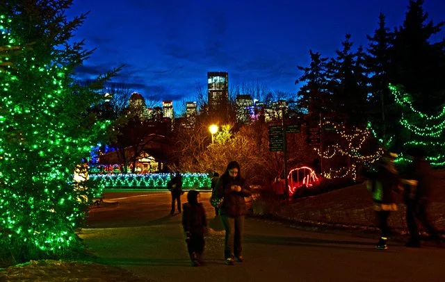 Zoolights-024.jpg