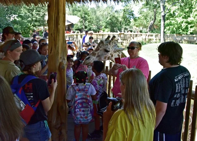 FW Zoo-040