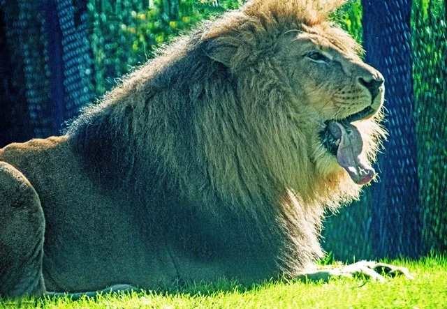 FW Zoo-102.jpg