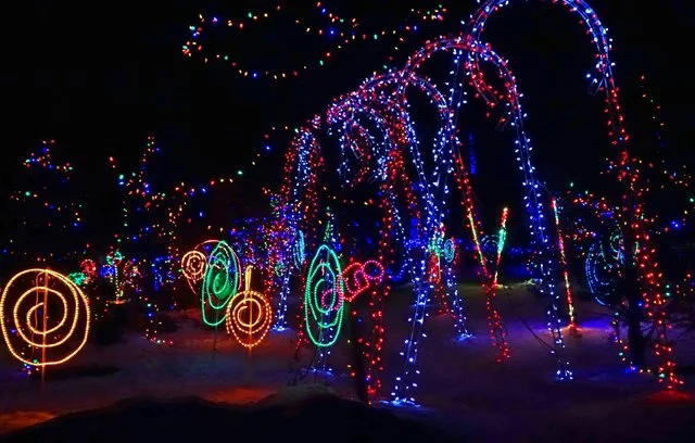 Zoolights-111.jpg