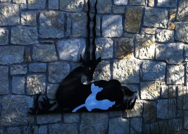 2003 Fossil Rim-002.jpg