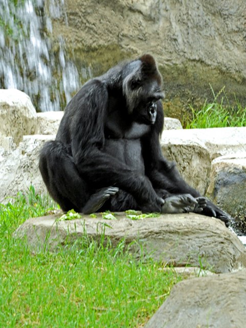 FWZoo-158.jpg